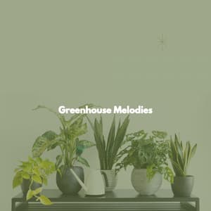 Greenhouse Melodies - Súper Música de Elevador