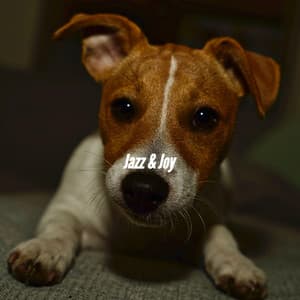 Jazz & Joy - New Orleans Jazz Playlist