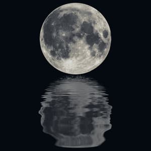 Night Calmness Vibes: Soft Music for Deep Slumber - Encased Mind Mysteries