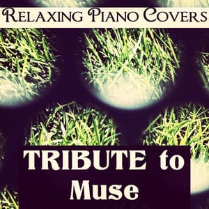 Tribute to Muse - Relaxing Piano Covers