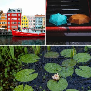 Ambiance for Jazz Bars and Lounges - Relaxing Instrumental Jazz Academy