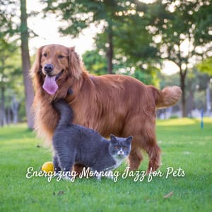 Energizing Morning Jazz for Pets - Modern Jazz Playlist