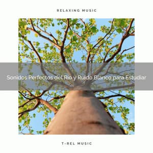 Sonidos Perfectos del Río y Ruido Blanco para Estudiar - Ruido Para Bebé