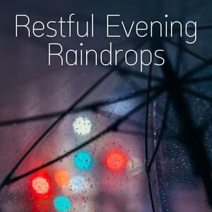 Restful Evening Raindrops - Nature TV