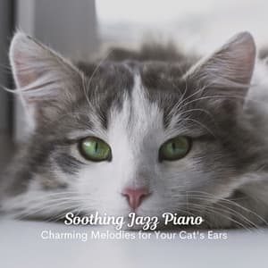 Soothing Jazz Piano: Charming Melodies for Your Cat's Ears - Best Jazz Lounge Bar