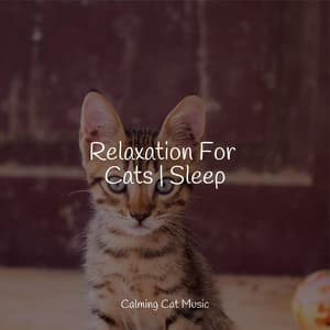 Relaxation For Cats | Sleep - Pet Care Music Therapy