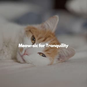 Meow-sic for Tranquility - Jazz for Hotel Lobbies