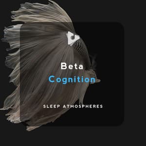 Beta Cognition - Sleep Atmospheres
