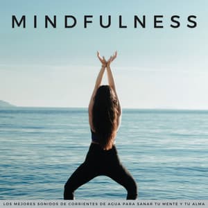 Mindfulness: Los Mejores Sonidos De Corrientes De Agua Para Sanar Tu Mente Y Tu Alma - Lista de reproducción de meditación