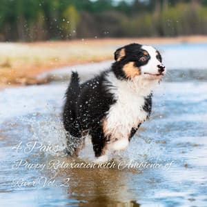 4 Paws: Puppy Relaxation with Ambience of River Vol. 2 - Sleepy Pets