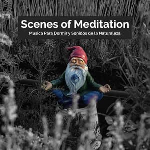 Scenes of Meditation - Musica Para Dormir y Sonidos de la Naturaleza