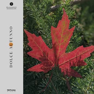 Dolce Autunno - Relaxamento Soundscape