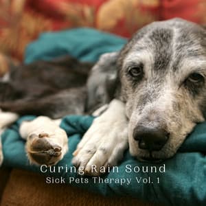 Curing Rain Sound: Sick Pets Therapy Vol. 1 - Nature Noises