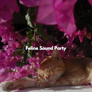 Feline Sound Party - Office Background Music Playlists