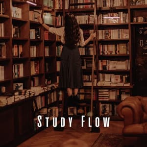 Study Flow: Smooth Lofi Music for for Academic Pursuits - Lo Fi Study Chill