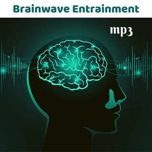 Brainwave Entrainment mp3 - Relaxing Delta Waves for Sleep and Meditation - Brain Food