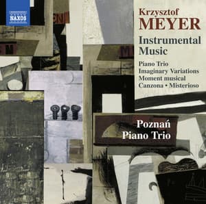Meyer: Instrumental Music - Krzysztof Meyer