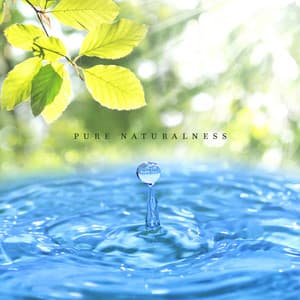 Pure Naturalness - Relaxing Spa Music, Calming Water Sounds, Relaxation Music, Meditation, Healing Instrumental Music - Well-Being Center
