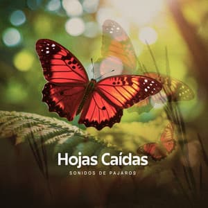 Hojas Caídas - Sonidos De Pajaros
