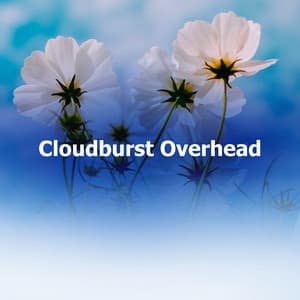 Cloudburst Overhead - Wide Noise HD