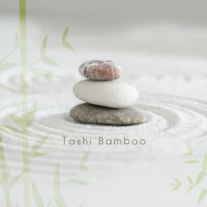 Zazen to Balance Energy - Tashi Bamboo