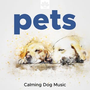 Pets - Calming Dog Music, Soothing Sounds, Nature Sounds - Relaxing Mindfulness Meditation Relaxation Maestro