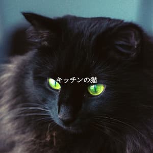 キッチンの猫 - Morning Coffee Playlist