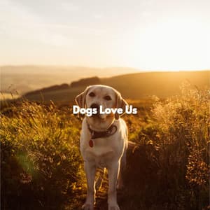 Dogs Love Us - Desayuno Jazz Playlist