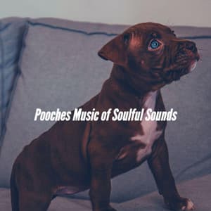 Pooches Music of Soulful Sounds - Calm Dog Music