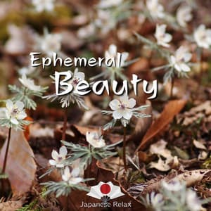 Ephemeral Beauty - Musical Blooms of Serenity - Japanese Relax