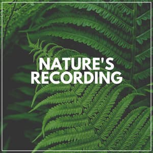 Nature's Recording - Recording Nature