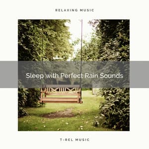 Sleep with Perfect Rain Sounds - Calm Rain Music