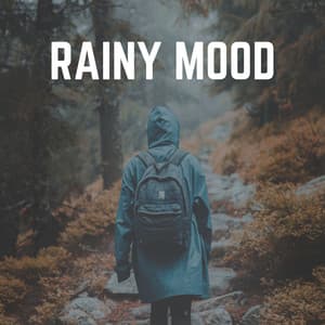 Rainy Mood - Rainfall Place