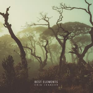 Best Elements - Eriq Johnson