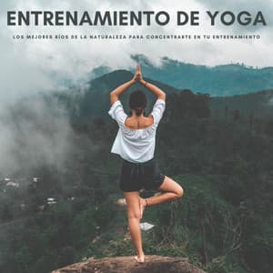 Entrenamiento De Yoga: Los Mejores Ríos De La Naturaleza Para Concentrarte En Tu Entrenamiento - Sonidos Naturales del Pajaro