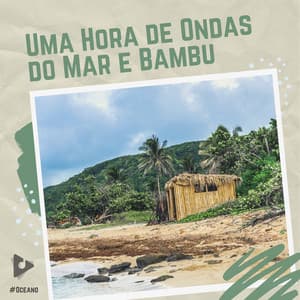 1 Hora de Ondas do Mar e Bambu - #Oceano