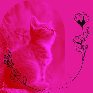 Music for Lounging Kittens - Calming Music for Cats