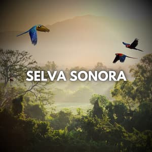 Selva Sonora - Naturaleza Sonidos
