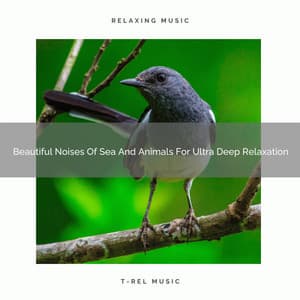 Beautiful Noises Of Sea And Animals For Ultra Deep Relaxation - The Noise Project