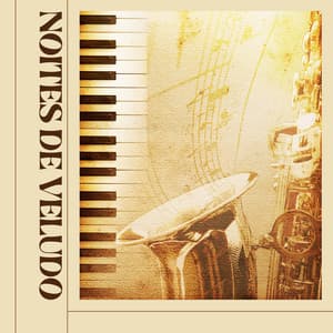 Noites de Veludo - Jazz Relaxante