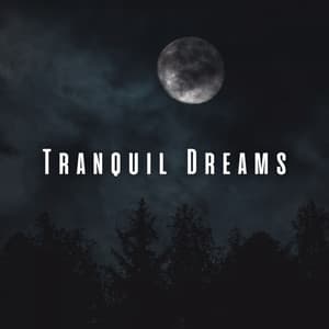 Tranquil Dreams: Binaural and Nature Sounds for Sleep - Mother Nature FX