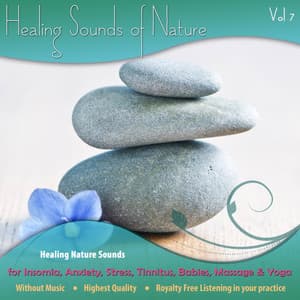Healing Nature Sounds for Insomnia, Anxiety, Stress, Tinnitus, Babies, Massage & Yoga - Vol. 7 - The Healing Sounds of Nature