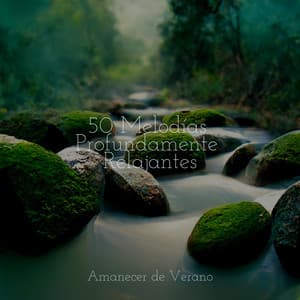 50 Melodías Profundamente Relajantes - Rockabye Lullaby