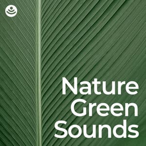 Nature Green Sounds: Sleep and Relaxation - Nature Sounds for Sleep and Relaxation