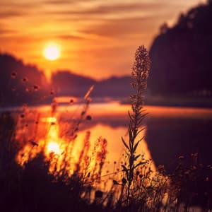 Świt bez słów - Maja Wójcik