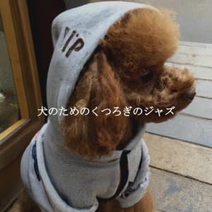 犬のためのくつろぎのジャズ - Happy Music for Retail Stores