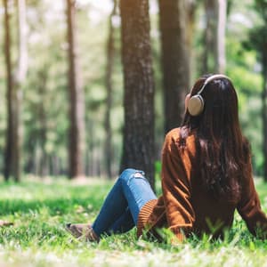 Tranquil Sounds: Relaxing Music for Stress Relief - Noise Makers