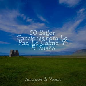 50 Bellas Canciones Para La Paz, La Calma Y El Sueño - Zen Music Garden