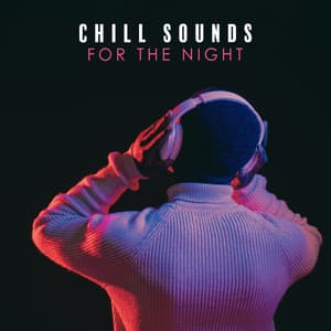 Chill Sounds fo the Night - Chill After Dark Club
