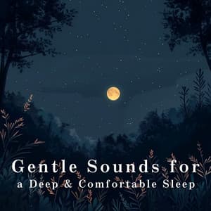 Gentle Sounds for a Deep & Comfortable Sleep - Relax α Wave